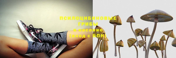 ГАЛЛЮЦИНОГЕННЫЕ ГРИБЫ Новокубанск