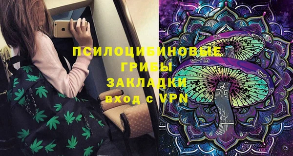 ГАЛЛЮЦИНОГЕННЫЕ ГРИБЫ Новокубанск