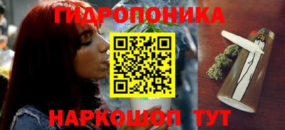 МДМА Гатчина