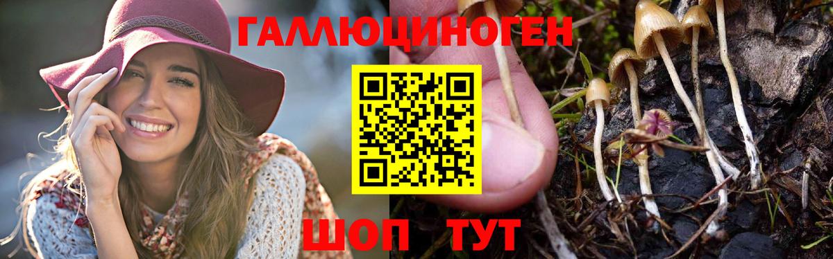 Галлюциногенные грибы мицелий  Вход с VPN  Новокузнецк 