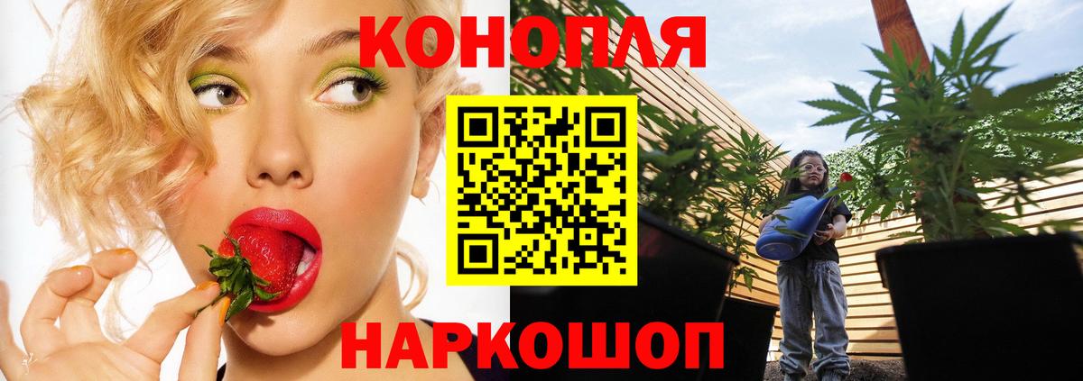 Конопля индика  Вход с VPN  Бошки марихуана тримм  Бошки Шишки SATIVA & INDICA  Новокузнецк 
